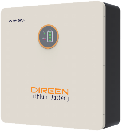 Batería DIREEN 24V 100Ah